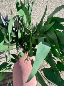 Säilitatud oksad roosas vaasis