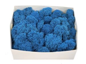 Stabiliseeritud põdrsammal