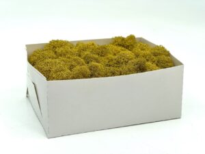 Stabiliseeritud põdrasammal Yellow