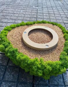 Moss Island May Green