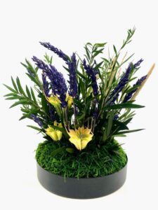 Kauasäilivad taimed