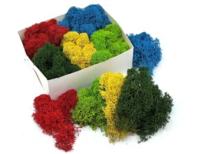 Säilitatud põdrasammal_värviline