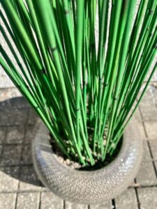 säilitatud kõrrelised keraamilises vaasis