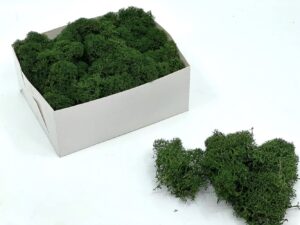 Stabiliseeritud põdrasammal Leaf Green