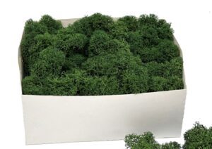 Stabiliseeritud põdrasammal Leaf Green