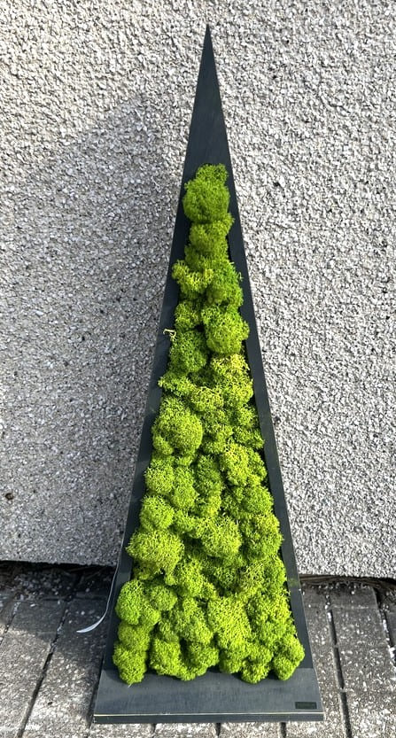 samblakuusk roheline