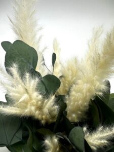 Taimeseade lauale eukalüpt ja pampa rohi