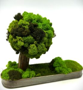 Samblast bonsai puu