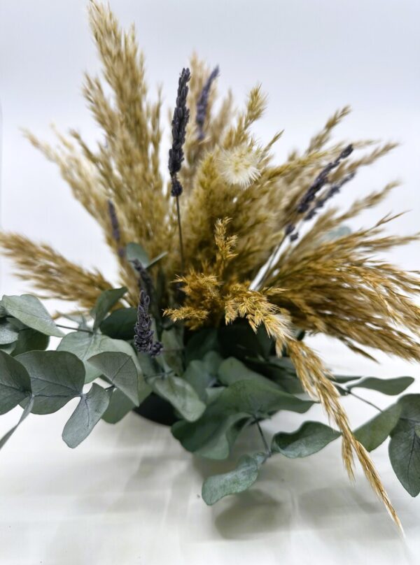 lauale taimeseade pampa naturaalne lavendel1