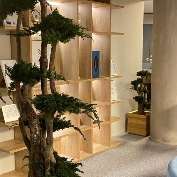 441164254_467569582506418_6351659990819967552_n