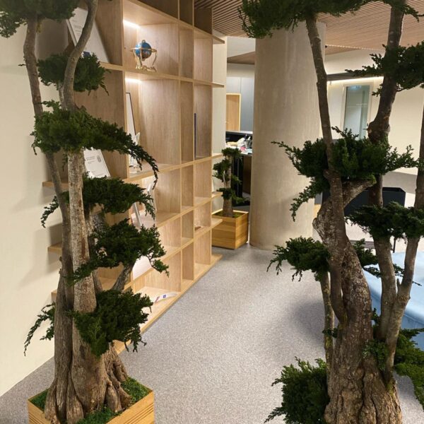 441257617_970263497677503_3123932032892178108_n