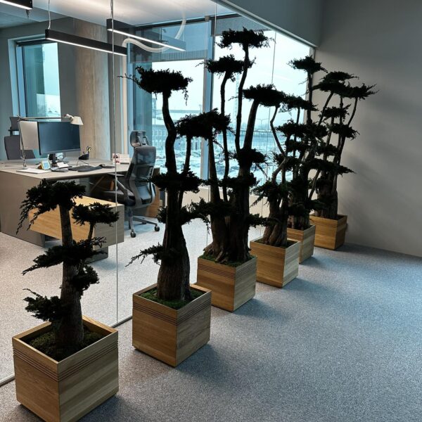 441261306_948665507037835_5682020306859292546_n