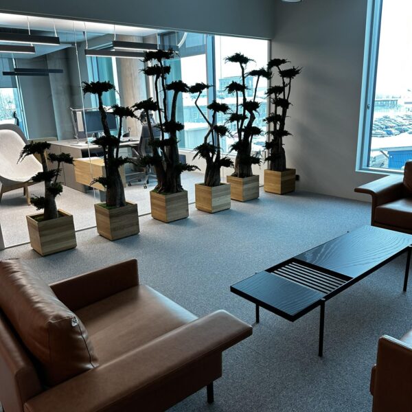 442020488_483474830682276_5064102530941206604_n