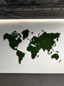 Maailmakaart samblast