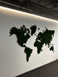 Maailmakaart samblast