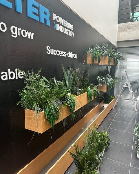 Taimekastid kontorisse