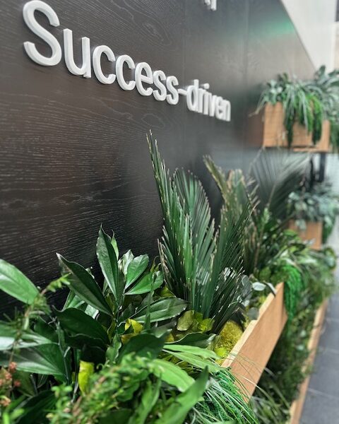 Taimekastid kontorisse