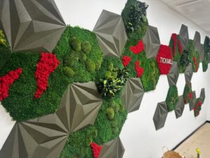 akustiline sein korgipaneelidest ja samblast