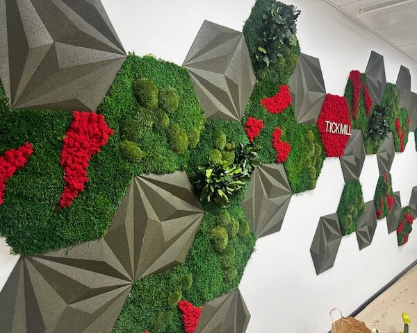 akustiline sein korgipaneelidest ja samblast