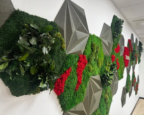 akustiline sein korgipaneelidest ja samblast