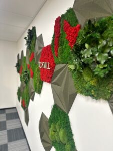 akustiline sein korgipaneelidest ja samblast