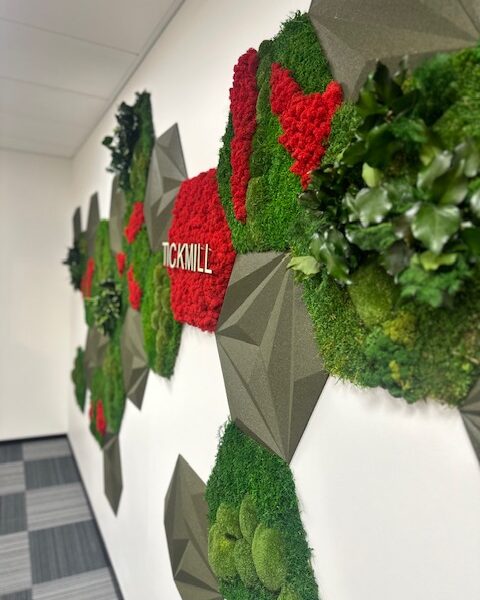 akustiline sein korgipaneelidest ja samblast