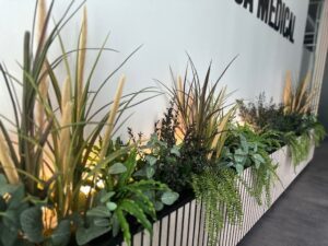 Taimekastid valgusega