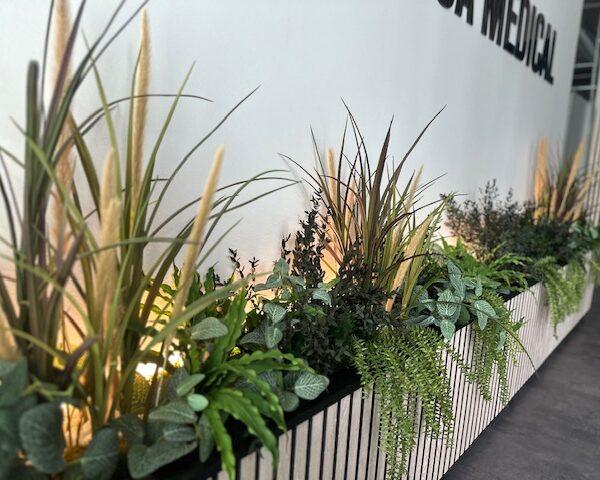 Taimekastid valgusega