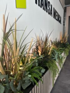 Taimekastid valgusega