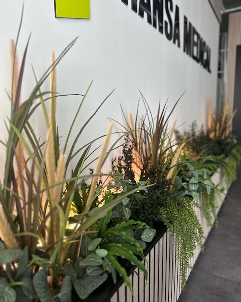 Taimekastid valgusega