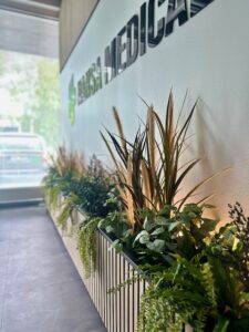 Taimekastid valgusega