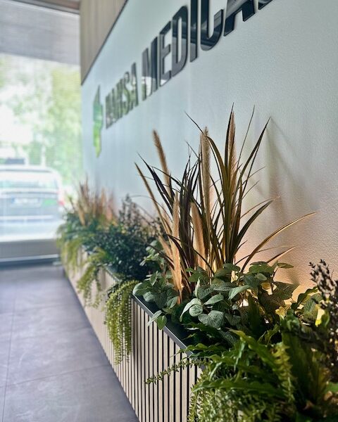 Taimekastid valgusega