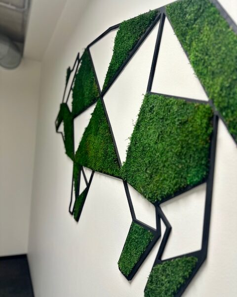 Samblast siga, sammal raamides, kujund seinale