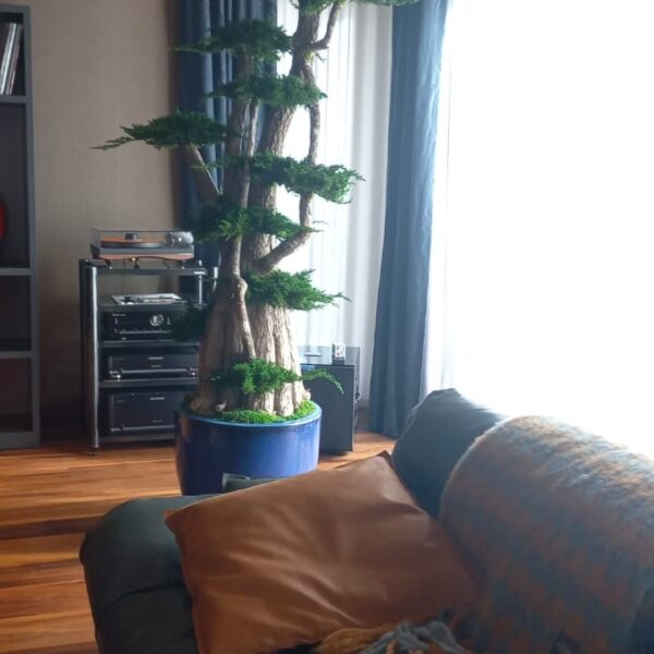 21f9c294-2faa-4431-bde1-1c561ead6188