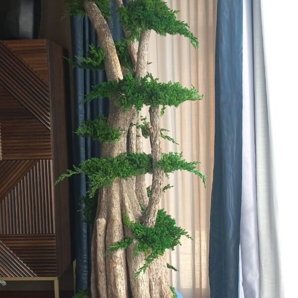 5704951e-79eb-4dc8-8d1a-1bc9f1ed2f31