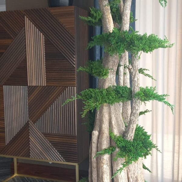 6ce7717a-0021-4d24-a7b9-fbcefbfcda95