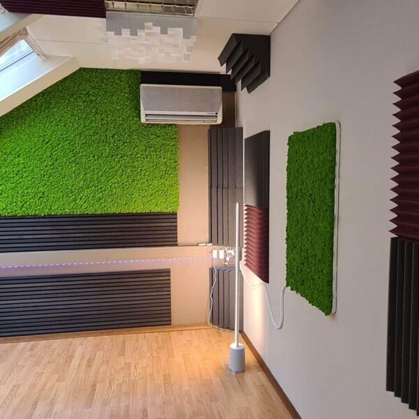 Akustilised paneelid samblast muusika salvestuse tuba