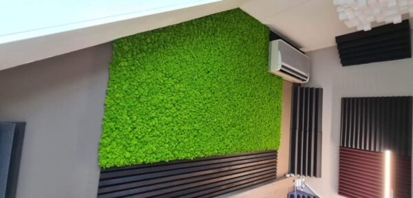 Akustilised paneelid samblast muusika salvestuse tuba