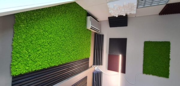 Akustilised paneelid samblast muusika salvestuse tuba