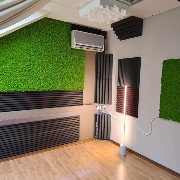 Akustilised paneelid samblast muusika salvestuse tuba