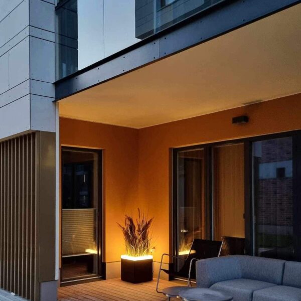 Merko näidiskorterisse kunsttaimed