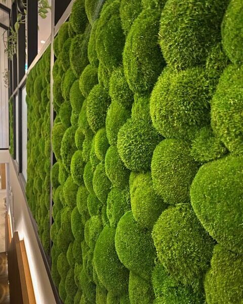 Restoran Vicca LaSpaas roheseinad