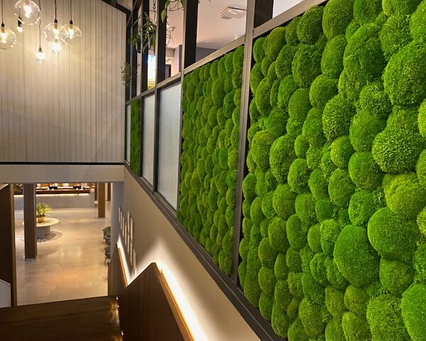 Restoran Vicca LaSpaas roheseinad