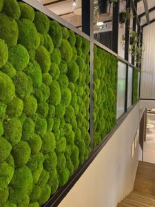 Restoran Vicca LaSpaas roheseinad