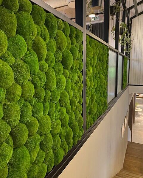 Restoran Vicca LaSpaas roheseinad