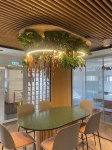 Taimevalgusti kontorisse. Taimed ripuvad valgustiga