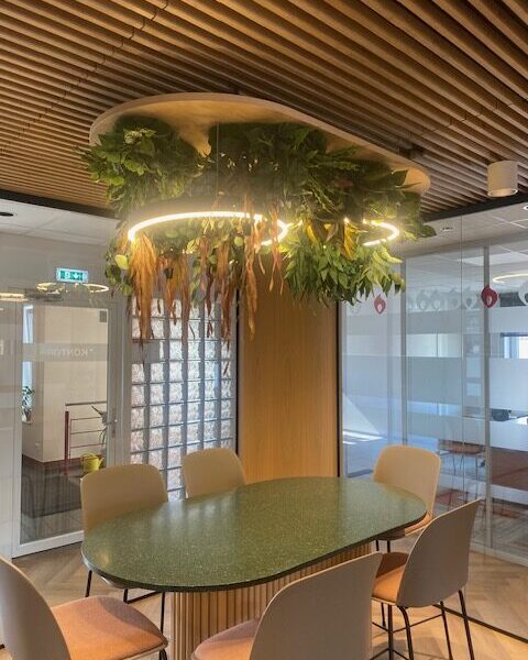 Taimevalgusti kontorisse. Taimed ripuvad valgustiga