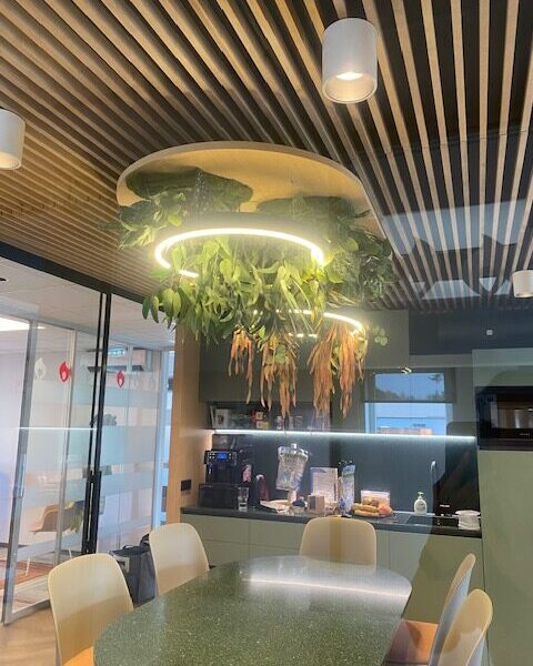 Taimevalgusti kontorisse. Taimed ripuvad valgustiga