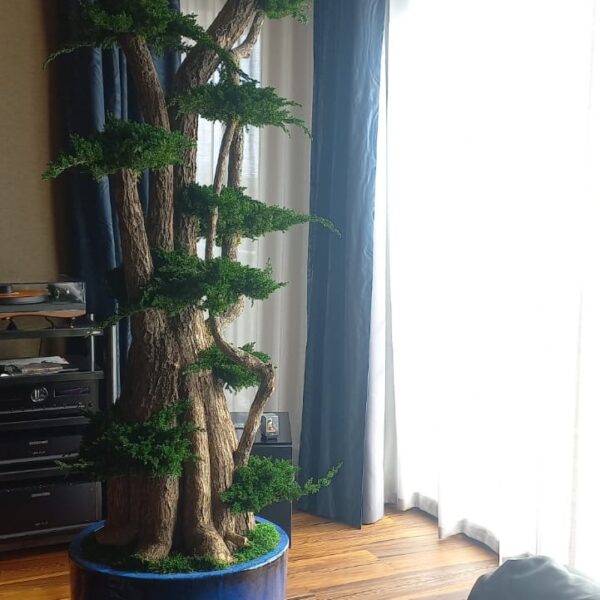 e4f079d8-4a8e-442f-9fc4-8c22bbe0a2bc