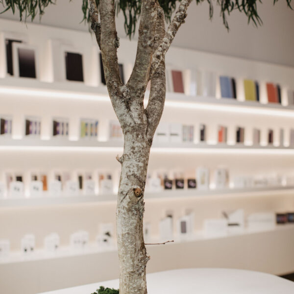 twofactorsxmobix-74-1365x2048